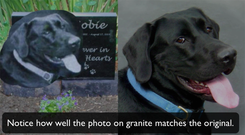Online Advertising Black and white photo laser etched onto granite pet memorial